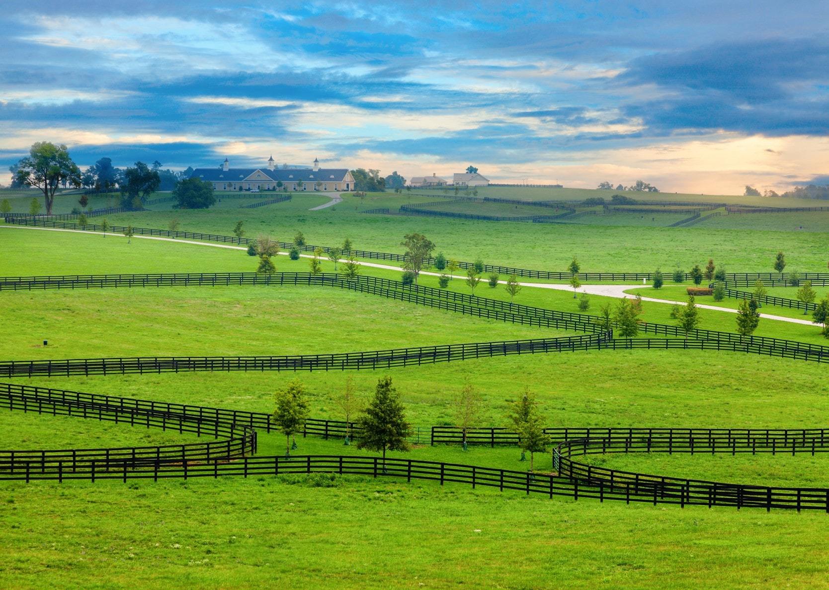 Green fields, fences and home on a horse farm near Winchester, Kentucky